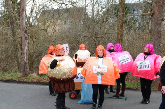 umzug simmern_140301_vb_026